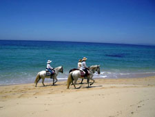 Portugal-Alentejo / Blue Coast-Dolphin Coast Escape Ride